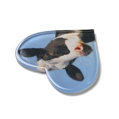 Opaque Acrylic Pendants X-SACR-P020-A02-1