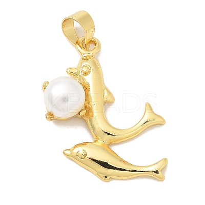 Rack Plating Brass Pendants KK-K293-24J-G-1