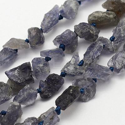 Rough Raw Natural Kyanite/Cyanite/Disthene Beads Strands G-K202-15-1
