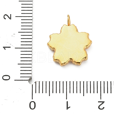304 Stainless Steel Enamel Pendants LS-STAS-F331-01C-G-1