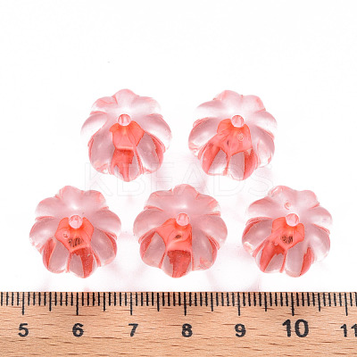 Transparent Acrylic Beads TACR-S154-19A-52-1