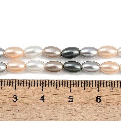 Electroplated Shell Pearl Beads Strands BSHE-H113-06C-03-1
