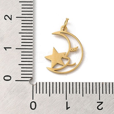 304 Stainless Steel Charms STAS-K263-10G-1
