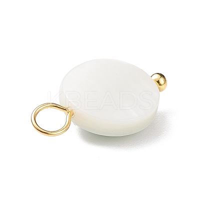 4Pcs 4 Styles Natural Freshwater Shell Pendants PALLOY-JF01873-1