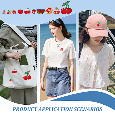 20Pcs 20 Styles Fruits Computerized Embroidery Cloth Iron on/Sew on Patches PATC-AR0001-18-1