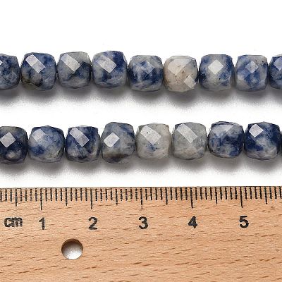 Natural Blue Spot Jasper Beads Strands G-H078-C20-01-1