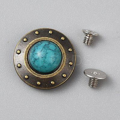 Flat Round Alloy Coin Screwback Rivets DIY-TAC0023-40B-02-1