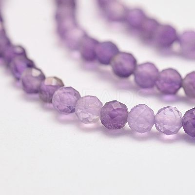 Natural Amethyst Bead Strands G-P279-43-3mm-1