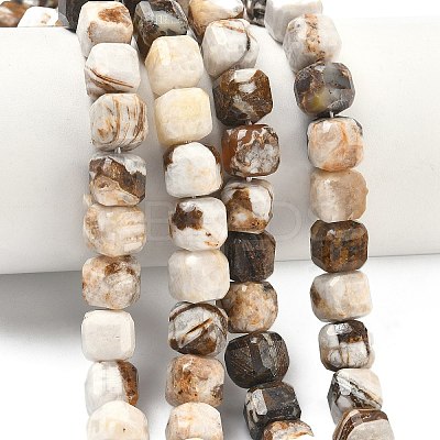 Natural Petrified Wood Beads Strands G-C267-A06-1