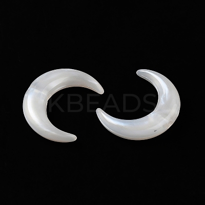 Acrylic Beads OACR-H042-06B-1