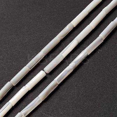Natural Trochid Shell/Trochus Shell Beads X-SSHEL-O001-26B-1