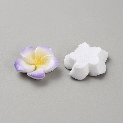 Two Tone Resin Cabochons RESI-WH20010-01A-1