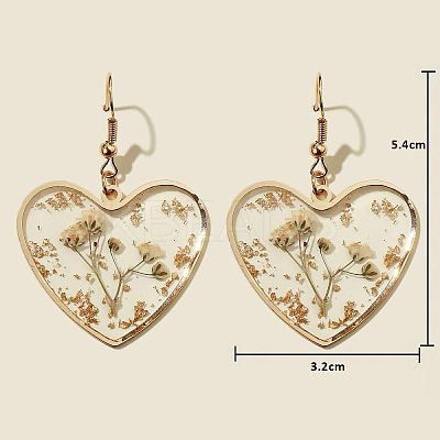 Heart Alloy Resin Dangle Earrings FS-WG72C44-05-1