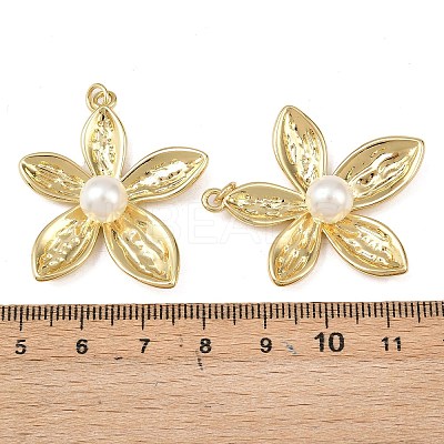 Brass Pendants KK-L255-23G-02-1