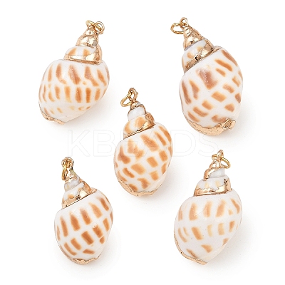 5Pcs Electroplate Natural Spiral Shell Pendants BSHE-YW0001-09-1