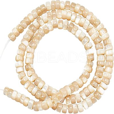1 Strand Natural Trochid Shell/Trochus Shell Beads Strands BSHE-NB0001-18-1