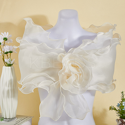 Chiffon Shawl AJEW-WH20054-037B-1
