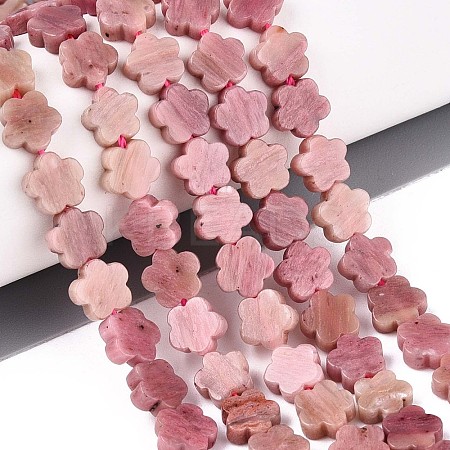 Natural Rhodonite Beads Strands G-N257-24A-09-1