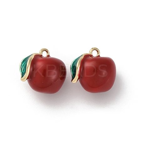 Brass Enamel Charms KK-F903-01C-G-1