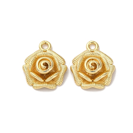 Brass Pendants KK-D388-14G-1