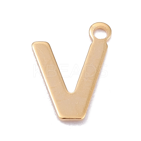 201 Stainless Steel Charms LS-STAS-C021-06G-V-1