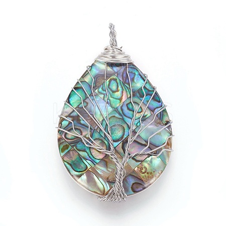 Abalone Shell/Paua Shell Wire Wrapped Big Pendants SSHEL-L008-54P-1