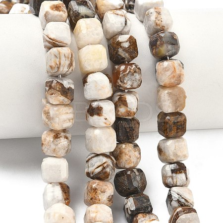 Natural Petrified Wood Beads Strands G-C267-A06-1