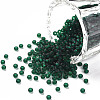 12/0 FGB Grade A Round Glass Seed Beads SEED-Q006-M23-1