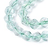 Crackle Transparent Glass Beads Strands GLAA-N068-02A-04-4