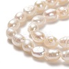 Natural Cultured Freshwater Pearl Beads Strands LS-PEAR-J005-61-2