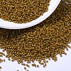 MIYUKI Delica Beads SEED-X0054-DB2110-1