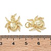 Halloween Brass Charms KK-T085-20A-G-3