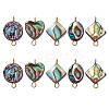 10Pcs 5 Styles Natural Abalone Shell/Paua Shell Connector Charms PALLOY-WH00011-1