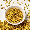 8/0 Opaque Colours Seep Glass Seed Beads SEED-F003-04B-01-2