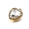 201 Stainless Steel Pendants STAS-F318-01B-G-2