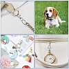 Alloy Swivel Lobster Claw Clasps & Split Key Rings Findings Kits DIY-YW0011-82-6
