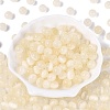 FGB Grade A Drawbench Style Glass Seed Beads SEED-Q040-8MM-13-2