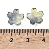 Dyed & Heated Glass Bead Caps GLAA-Z019-03H-3