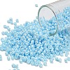 TOHO 8/0 Round Beads SEED-XTR08-0124-1