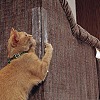 PVC Plastic Cat Couch Protector FAMI-PW0001-68E-2