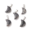Natural Larvikite Pendants G-Q369-16-1