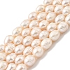 Natural Cultured Freshwater Pearl Beads Strands PEAR-I007-01F-04A-2