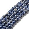 Natural Blue Spot Jasper Beads Strands G-P476-01B-02-1