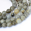 Natural Labradorite Round Bead Strands LS-G-E334-4mm-19-1