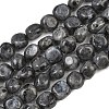 Natural Larvikite Beads Strands GG-CBA787B-A37-2