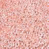 6/0 Baking Paint Transparent Fringe Glass Seed Beads X1-SEED-N006-06E-3