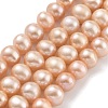 Natural Cultured Freshwater Pearl Beads Strands PEAR-C003-18B-1