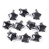 Natural Black Stone Pendants G-Q172-09P-02-1