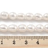Natural Cultured Freshwater Pearl Beads Strands PEAR-P062-08G-5