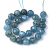 Natural Apatite Beads Strands G-S345-10mm-008-2